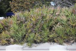 Photo of Mixed Miami Textures